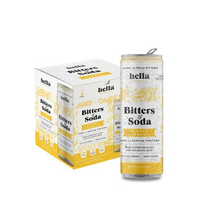 Hella Bitters & Soda Dry Ginger Turmeric Individual Can